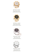 Abraham Shield Ring - Star of David