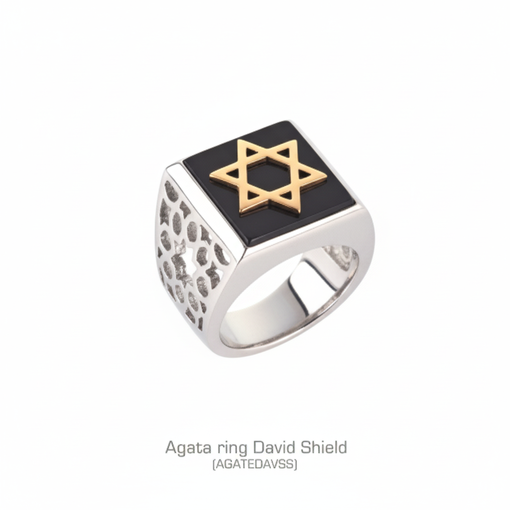 Agata Ring David Shield - Silver with Black Onyx and Gold Star of David